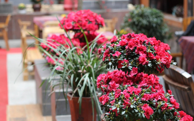 Chengdu Wenjun courtyard Hotel