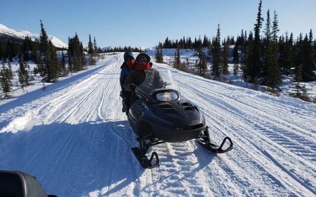 Denali Wild Stay