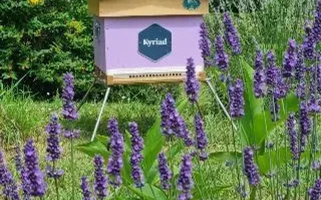 Kyriad Angouleme Nord - Champniers