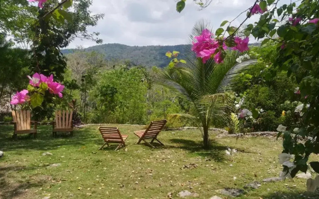 Alice Guesthouse