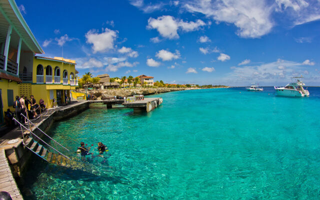 Buddy Dive Resort