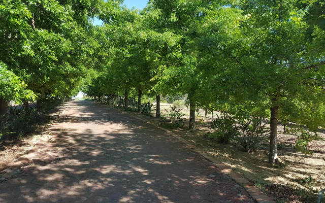 CANA Vineyard Guesthouse