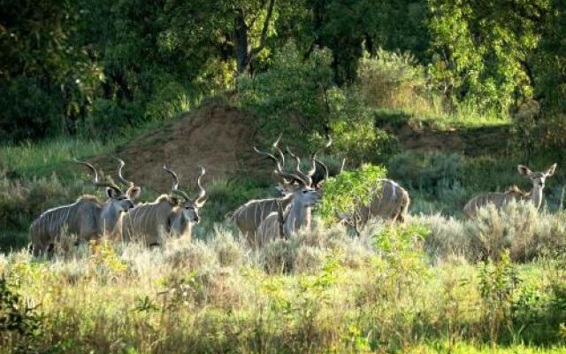 Woodlands Game Lodge Leisure