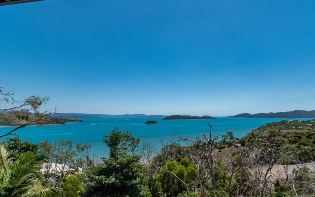 Panorama 12