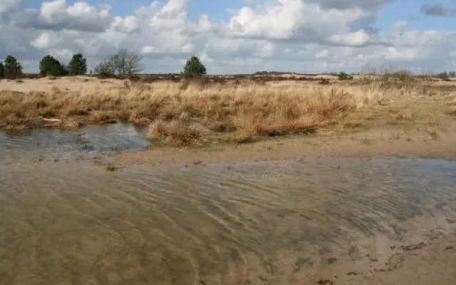 Kampeerboederij De Runsvoort