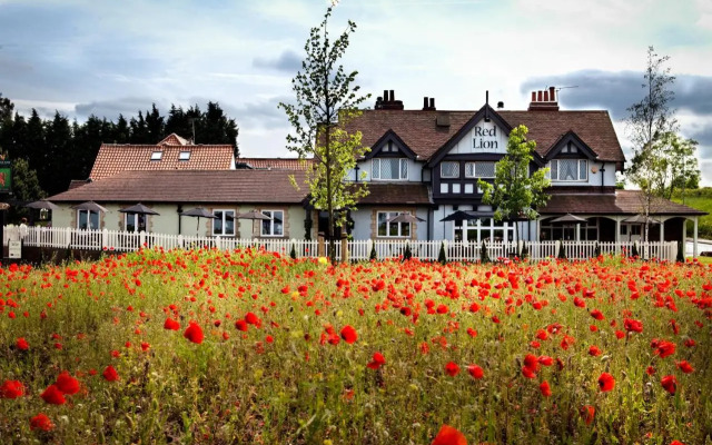The Red Lion