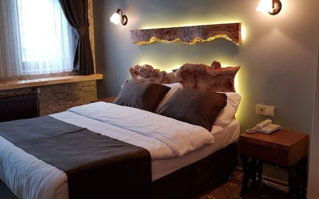 Sarikamis Kayi Snow Otel