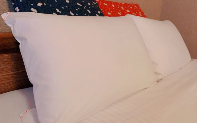 桃夭庵 touyouan momo house kujo