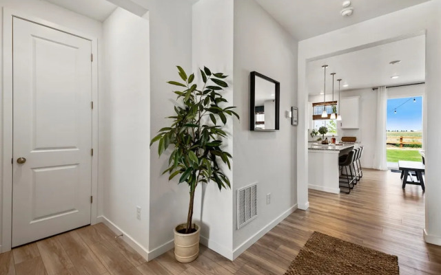 New Build W/ Great Backyard & Lake Access!