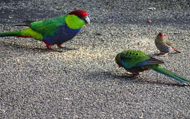 Emu Point Motel & Apartments