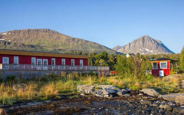 Vikran Vacation: Sea fishing and Northern Lights
