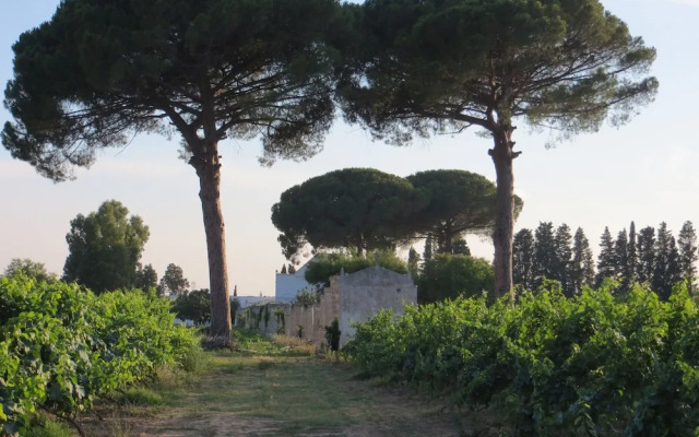 Agriturismo Occhineri