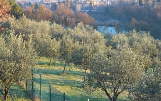 Corte Dell'Abbadessa