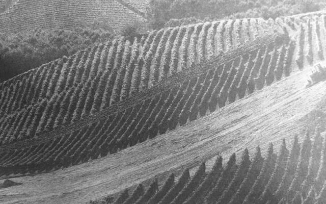 Sangrato 1883