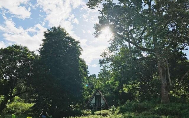 The Forest Cabin Taiping