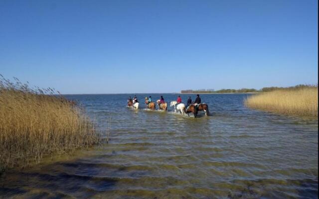 Bernsteinreiter Erlebnishof Barth, Blockhütte 19