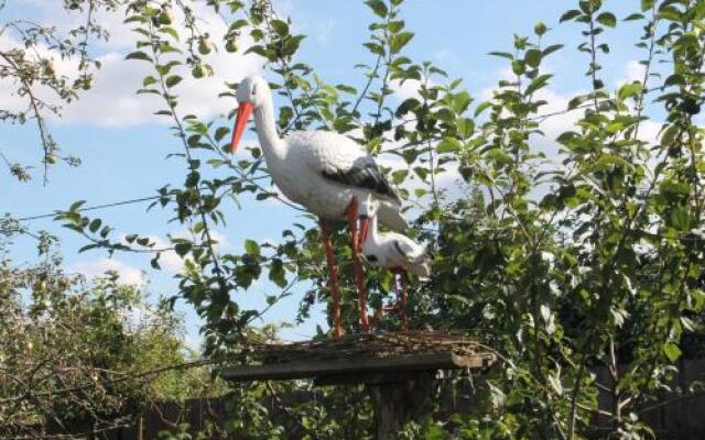 Guest House on Tsentralnaya 19A