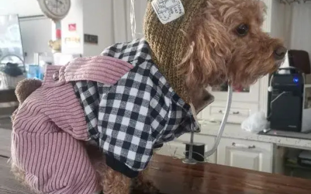 Qingdao Lanhu Meishu