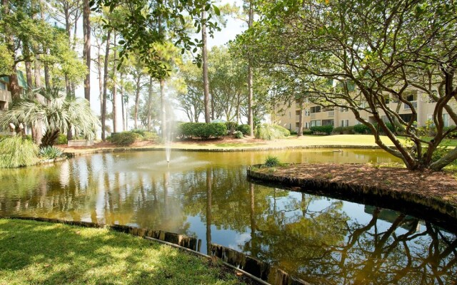 David's Dream Destination 2 Bedroom Condo