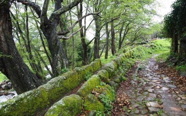 Casa Rural Las Janonas