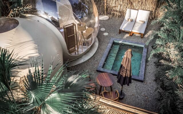 Satori The Bubble Experience Lodge