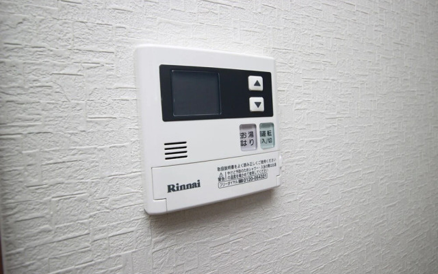 Saint Paulia Osaka Castle