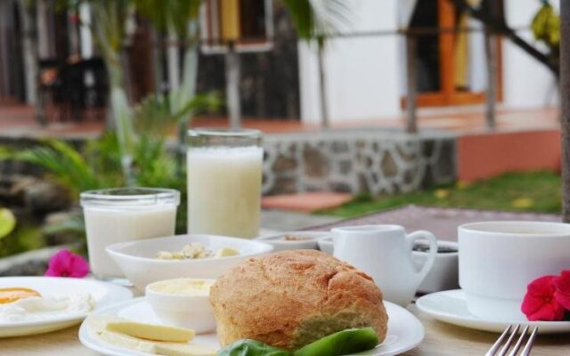 Lava House Hostal