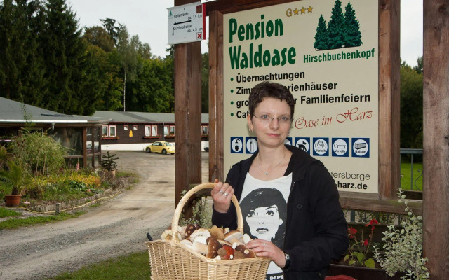 Pension Waldoase Hirschbüchenkopf