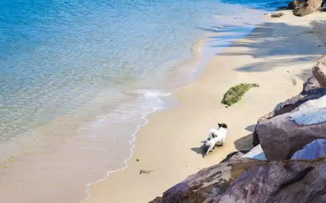 Heaven Land Homestay Phu Quoc