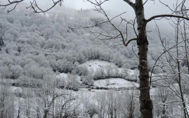 Hotel Restaurant Du Plomb du Cantal