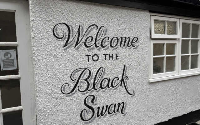The Black Swan