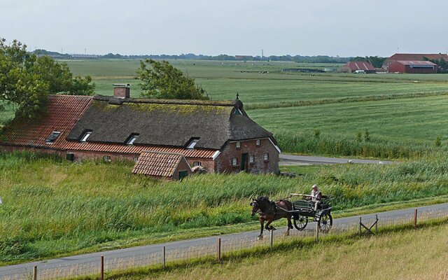 Itzendorfer Rott 20986