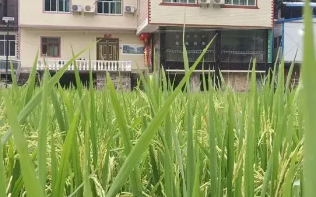 LiBoMaoLan Shuimufeng Inn