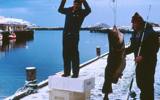 7 Person Holiday Home in Breivikbotn