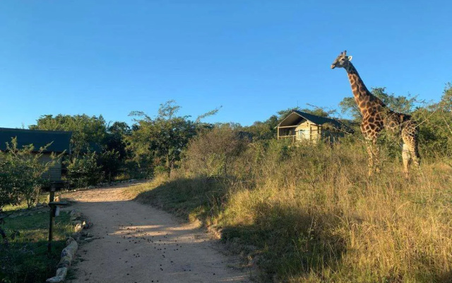 Ndhula Luxury Tented Lodge