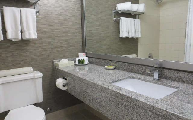 Toronto Don Valley Hotel and Suites