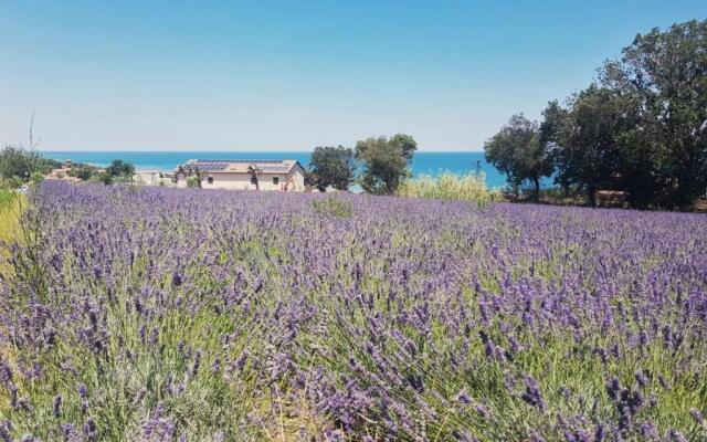 Agriturismo Il Colle Dei Lecci