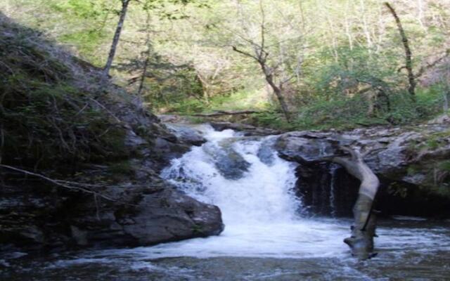 Domaine des Cazottes