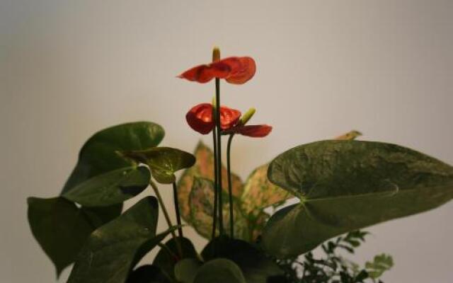 Sky Gallery Nanjing International Youth Hostel