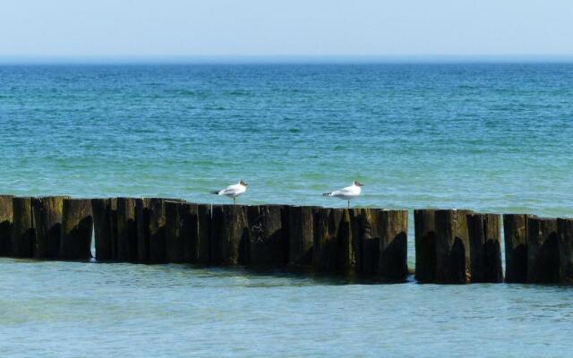 Lindenstr_38 _Haus Kranich_