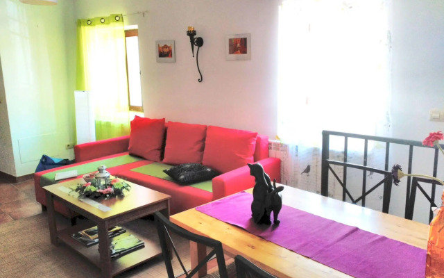 Casa Gatos