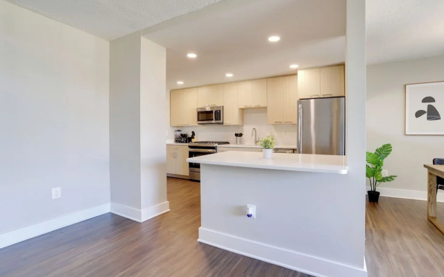 Crystal City Modern Apt w Gym