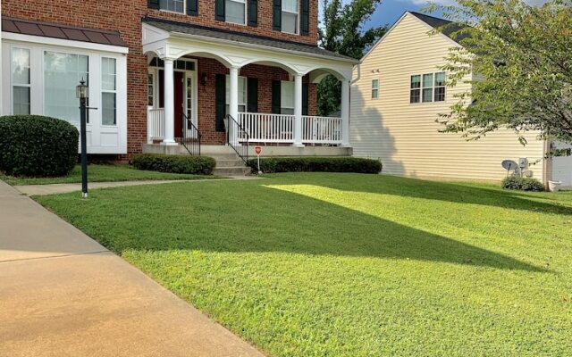 The Lovely Family Home