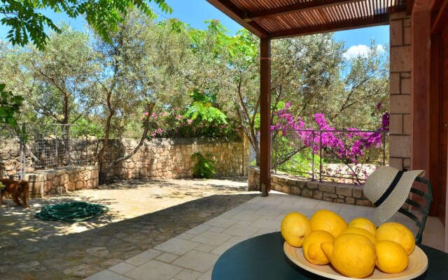 PYRGOS RALLI ESTATE Apartments and Suites
