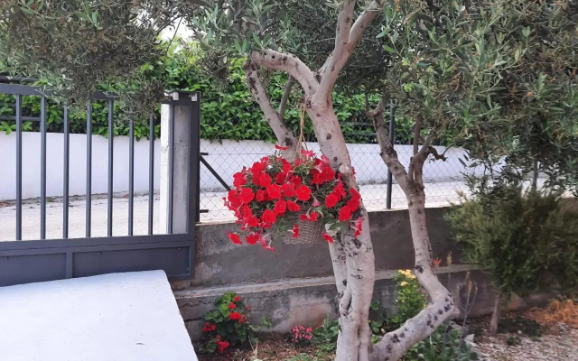 Studio apartman Mare