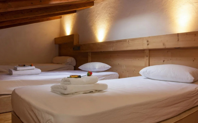 R Sidence Androsace 53