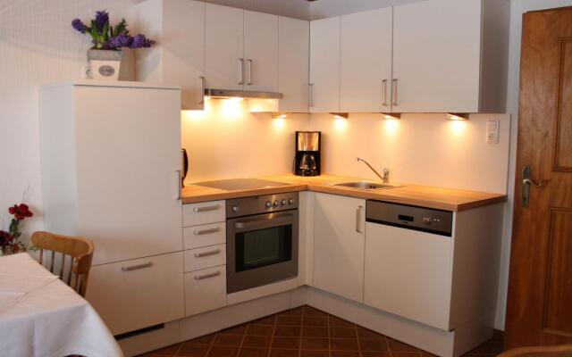 Apartment in Taxenbach Near Ski Lift