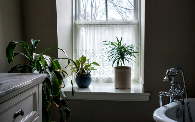 Maplehurst Manor B&B