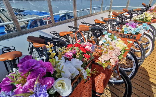 MS DIANA - Nava de croaziera pe Dunare