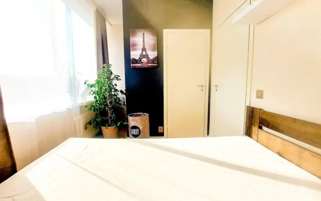 Cofy Rentals Tartu